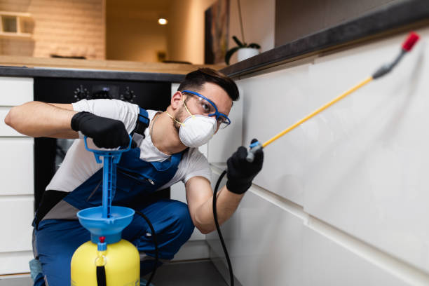 Best Best Pest Control Companies  in Newport, VT