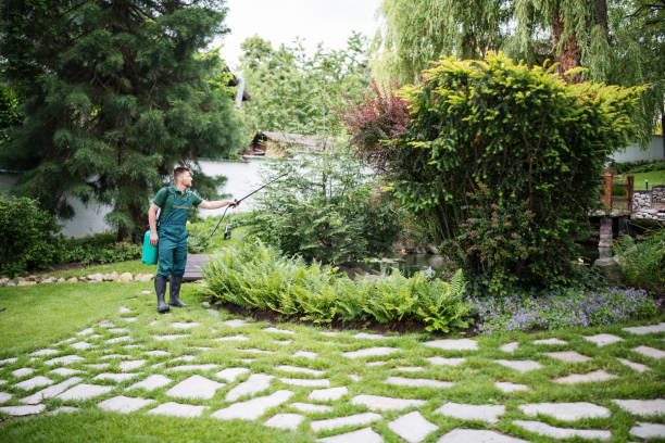 Trusted Newport, VT Pest Control Experts